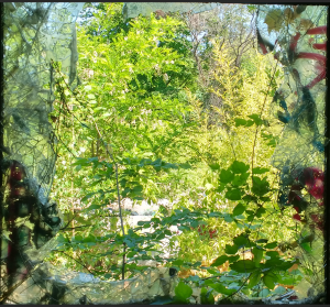 Fenster